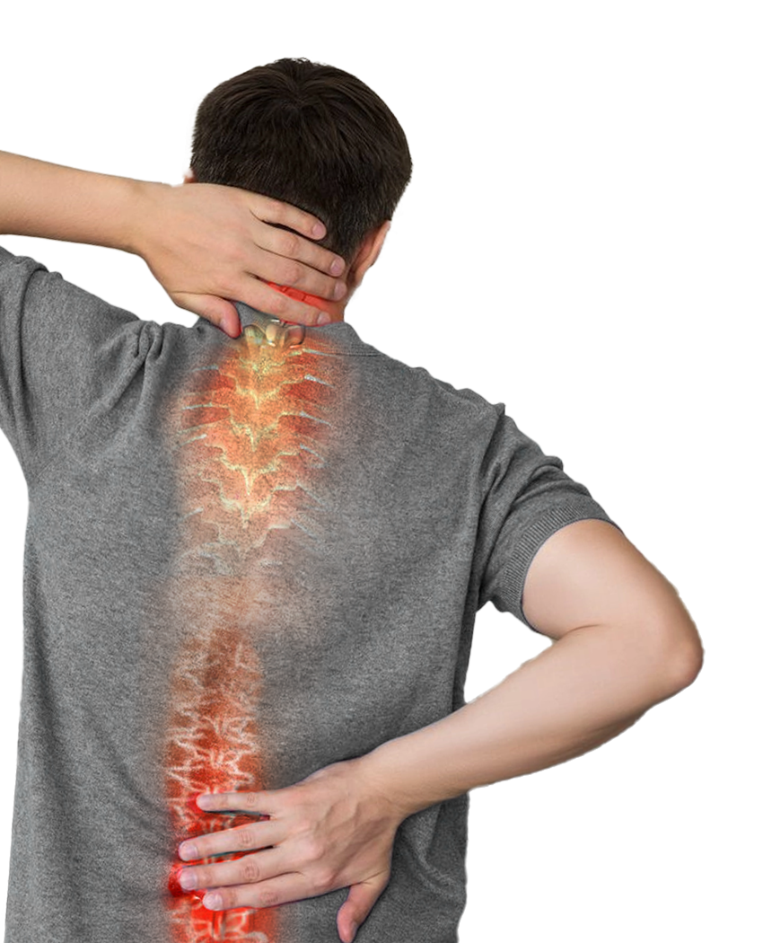 الرئيسية sliderpic1ar